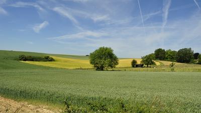 Comment devient-on «orfèvre» de la miniature agricole? - Le Sillon Belge