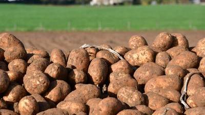 Comment devient-on «orfèvre» de la miniature agricole? - Le Sillon Belge