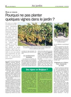 Des vignes en Belgique? Des vignes en Belgique?