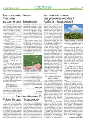 Les premières récoltes?Après la mi-septembre! Les premières récoltes?Après la mi-septembre!