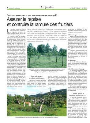 Assurer la reprise et contruire la ramure des fruitiers Assurer la reprise et contruire la ramure des fruitiers