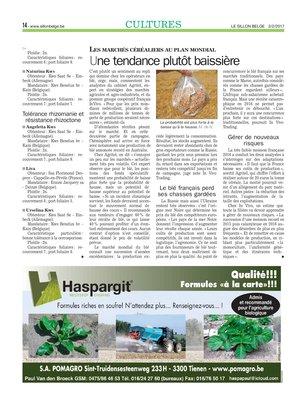 Treize variétés de betteraves sucrières nouvellement inscrites au catalogue belge Treize variétés de betteraves sucrières nouvellement inscrites au catalogue belge