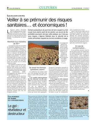 Le gel:révélateur et destructeur Le gel:révélateur et destructeur