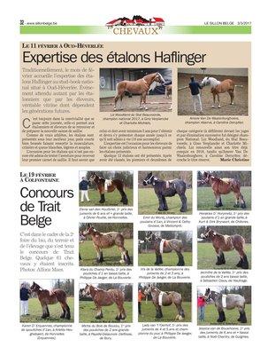 Expertise des étalons Haflinger Expertise des étalons Haflinger