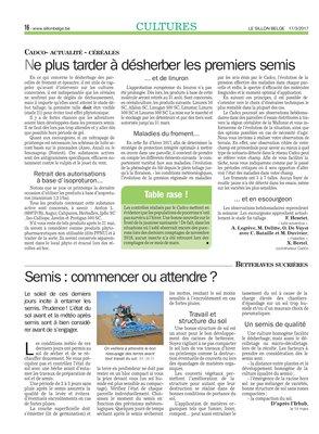 Semis: commencer ou attendre? Semis: commencer ou attendre?