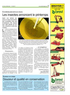 Les insectes annoncent le printemps Les insectes annoncent le printemps