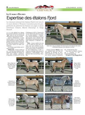 Expertise des étalons Fjord Expertise des étalons Fjord