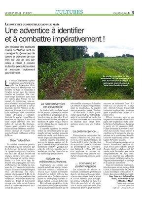 Une adventice à identifieret à combattre impérativement! Une adventice à identifieret à combattre impérativement!