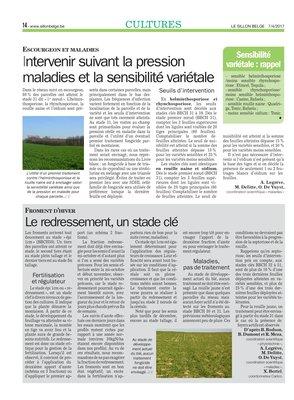 Le redressement, un stade clé Le redressement, un stade clé