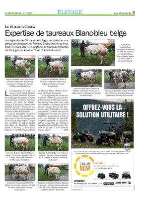 Expertise de taureaux Blanc-bleu belge Expertise de taureaux Blanc-bleu belge