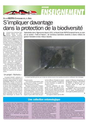 Une collection entomologique