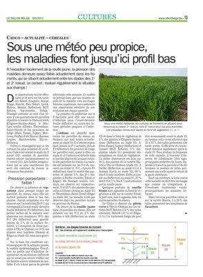 Sous une météo peu propice,les maladies font jusqu’ici profil bas Sous une météo peu propice,les maladies font jusqu’ici profil bas