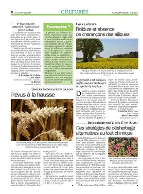 Des stratégies de désherbage alternatives au tout chimique Des stratégies de désherbage alternatives au tout chimique