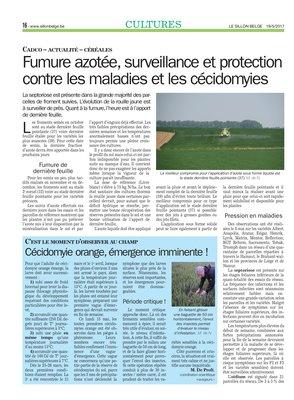 Fumure azotée, surveillance et protection contre les maladies et les cécidomyies Fumure azotée, surveillance et protection contre les maladies et les cécidomyies