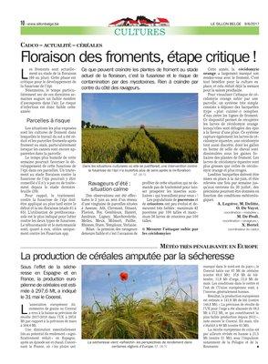 La production de céréales amputée par la sécheresse La production de céréales amputée par la sécheresse