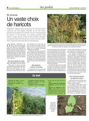 Un vaste choix de haricots Un vaste choix de haricots