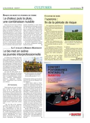Pucerons: fin de la période de risque Pucerons: fin de la période de risque