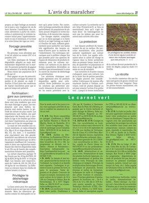 Une note originale et ensoleilléepour l’assortiment de nos maraîchers Une note originale et ensoleilléepour l’assortiment de nos maraîchers