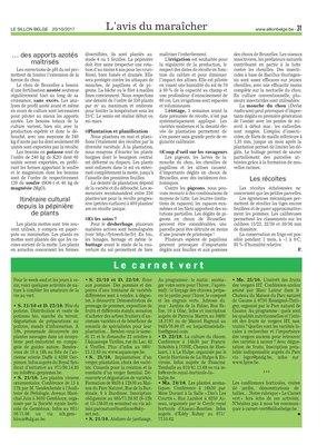 Ce légume traditionnel trouve sa place entre le circuit court… et l’industrie Ce légume traditionnel trouve sa place entre le circuit court… et l’industrie