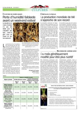 La production mondiale de blé s’approche de son record La production mondiale de blé s’approche de son record