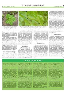 Incontournables parmi les laitues Incontournables parmi les laitues