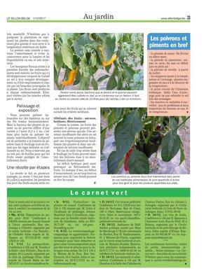 Les poivrons et piments en bref Les poivrons et piments en bref