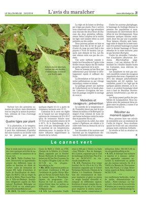 Avec un peu d’attention,l’aubergine colorera l’étal du maraîcher Avec un peu d’attention,l’aubergine colorera l’étal du maraîcher