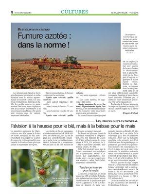 Révision à la hausse pour le blé, mais à la baisse pour le maïs Révision à la hausse pour le blé, mais à la baisse pour le maïs