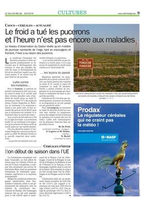 Le froid a tué les puceronset l’heure n’est pas encore aux maladies Le froid a tué les puceronset l’heure n’est pas encore aux maladies