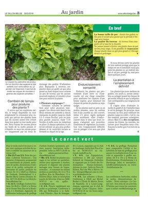 Repiquages de printemps:l’opération demande de la délicatesse Repiquages de printemps:l’opération demande de la délicatesse