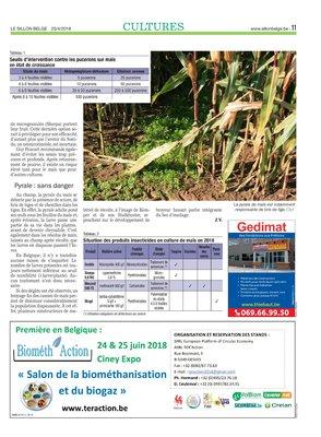 Quelles solutions privilégierface à ces insectes ravageurs du maïs? Quelles solutions privilégierface à ces insectes ravageurs du maïs?
