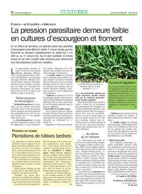 La pression parasitaire demeure faibleen cultures d’escourgeon et froment La pression parasitaire demeure faibleen cultures d’escourgeon et froment