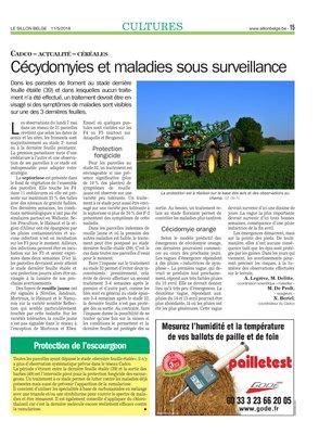 Cécydomyies et maladies sous surveillance Cécydomyies et maladies sous surveillance