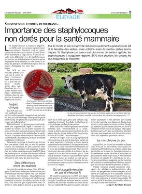 Importance des staphylocoquesnon dorés pour la santé mammaire