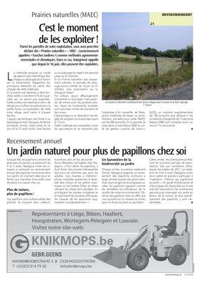Un jardin naturel pour plus de papillons chez soi Un jardin naturel pour plus de papillons chez soi