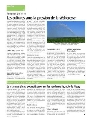 Le manque d’eau pourrait peser sur les rendements, note le Nepg Le manque d’eau pourrait peser sur les rendements, note le Nepg