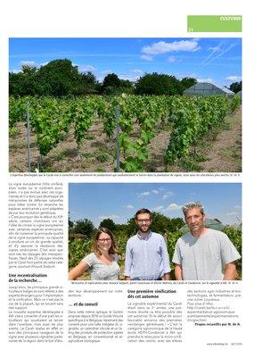 Un premier vignoble expérimental en Wallonie Un premier vignoble expérimental en Wallonie
