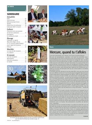 Actualités Actualités