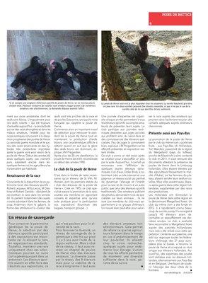 La poule de Herve, une race de notre terroir La poule de Herve, une race de notre terroir