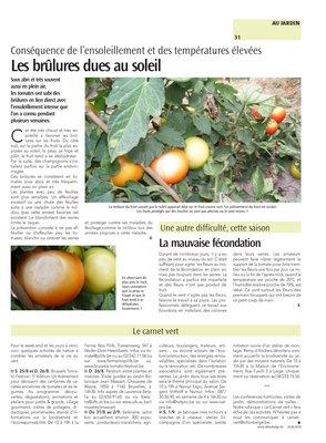 Les brûlures dues au soleil Les brûlures dues au soleil