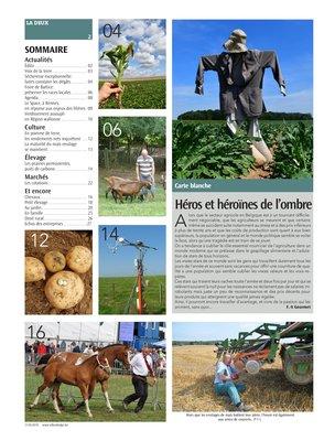 Actualités Actualités