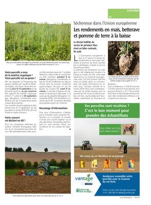 Les rendements en maïs, betterave et pomme de terre à la baisse Les rendements en maïs, betterave et pomme de terre à la baisse