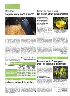 Premiers semis d’escourgeon,avec l’œil déjà sur le désherbage Premiers semis d’escourgeon,avec l’œil déjà sur le désherbage