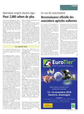 Le carnet vert Le carnet vert