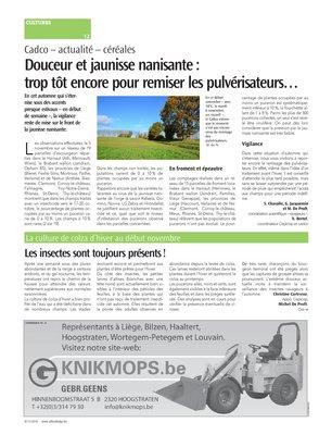 Les insectes sont toujours présents! Les insectes sont toujours présents!