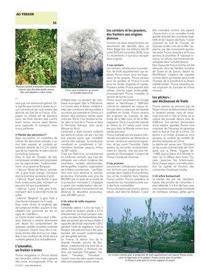 Outre les cerisiers et pruniers, laissez-vous tenter par l’abricotier et le pêcher, voire l’amandier Outre les cerisiers et pruniers, laissez-vous tenter par l’abricotier et le pêcher, voire l’amandier
