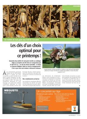 Les clés d’un choix optimal pour ce printemps! Les clés d’un choix optimal pour ce printemps!
