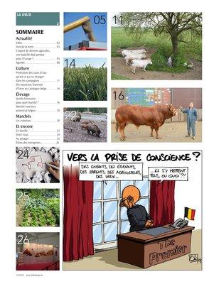 Actualité Actualité