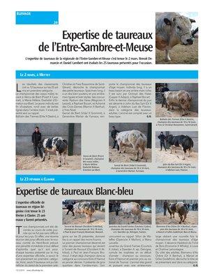 Expertise de taureaux Blanc-bleu Expertise de taureaux Blanc-bleu