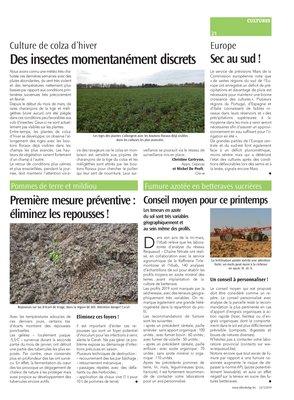 Conseil moyen pour ce printemps Conseil moyen pour ce printemps